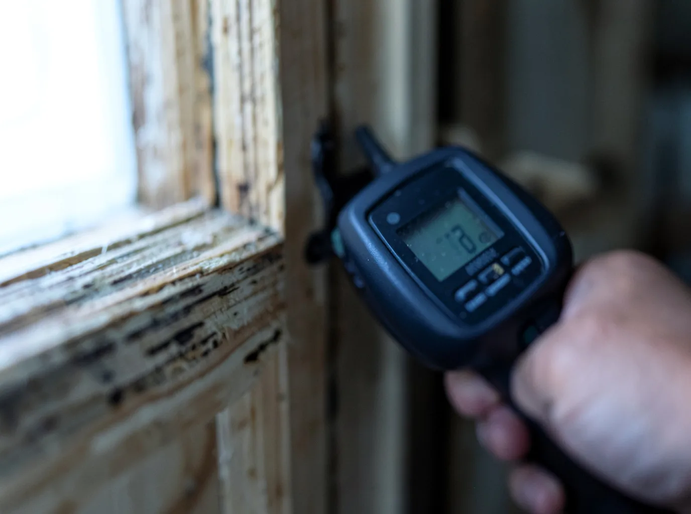 Moisture Inspection And Documentation in Red Feather Lakes, CO